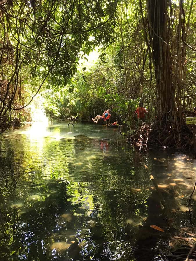 Krabi: Amazon Klong Srakaew Kayaking With Lunch - Who will enjoy this Krabi outing