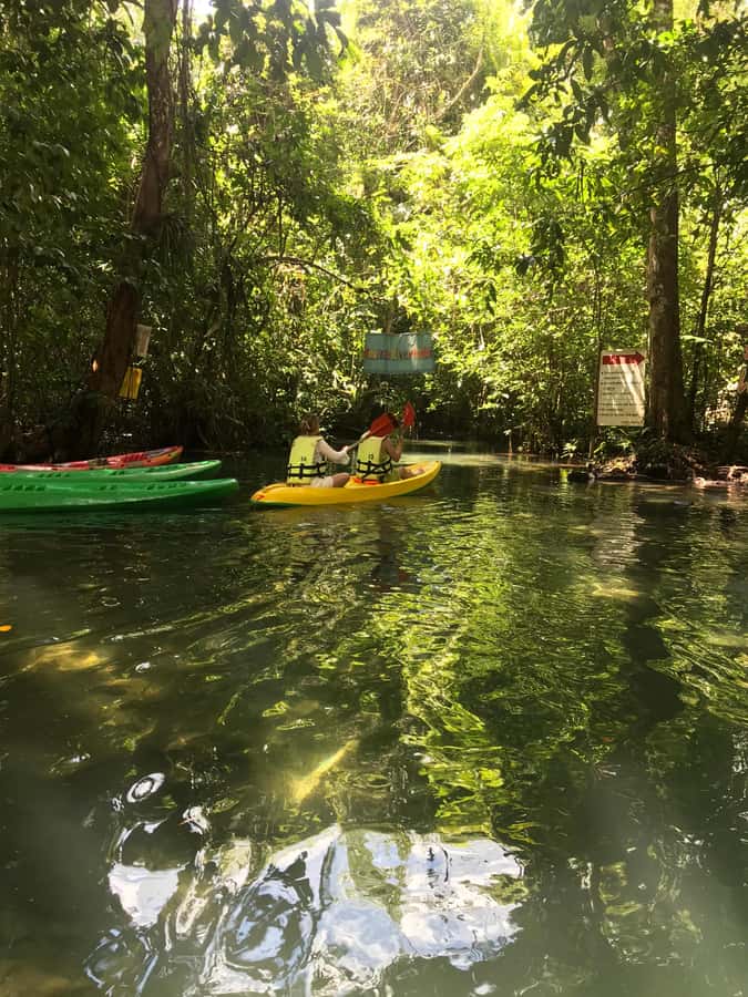 Krabi: Amazon Klong Srakaew Kayaking With Lunch - First look at the shaded Emerald Canal