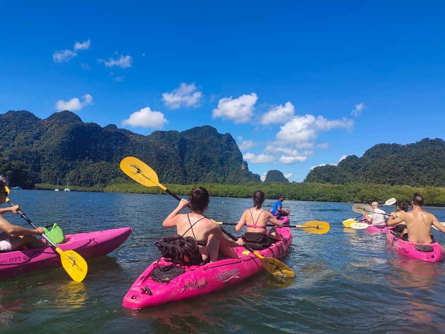 Krabi: Early bird kayak through Ao Thalane on private guide - Paddling five to seven kilometers through the mangroves