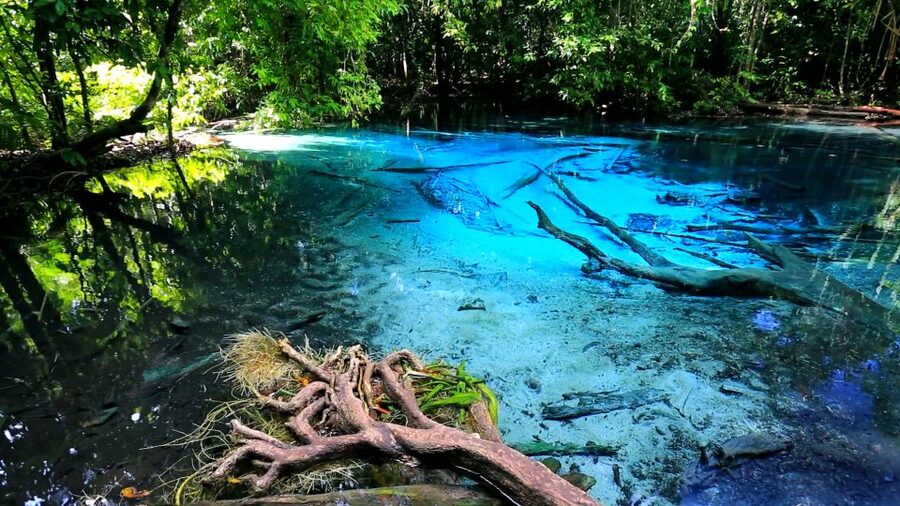 Krabi: Emerald Pool & Hot Spring Waterfall with Kayaking - Kayaking through Ao Thalane’s mangrove channels