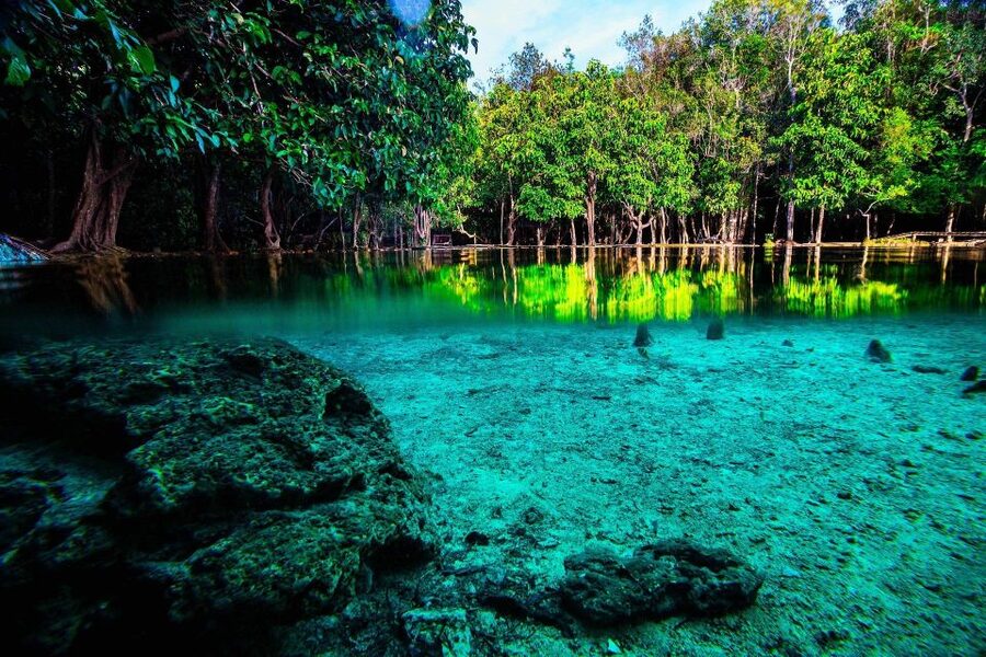 Krabi: Emerald Pool & Hot Spring Waterfall with Kayaking - The Hot Spring Waterfall’s warm mineral water