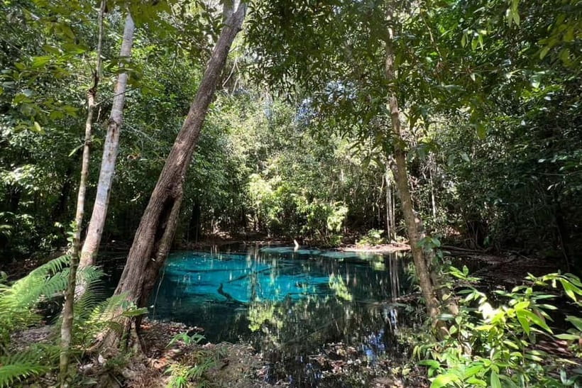 Krabi: Emerald Pool, Hot Springs, and Kayaking Tour - Who will enjoy this tour most