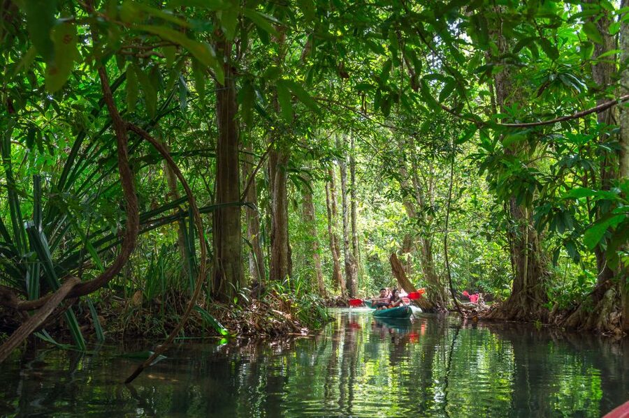 Krabi: Half-Day Blue Lagoon Kayaking at Klong Srakaew & ATV - Who will enjoy this Krabi outing?