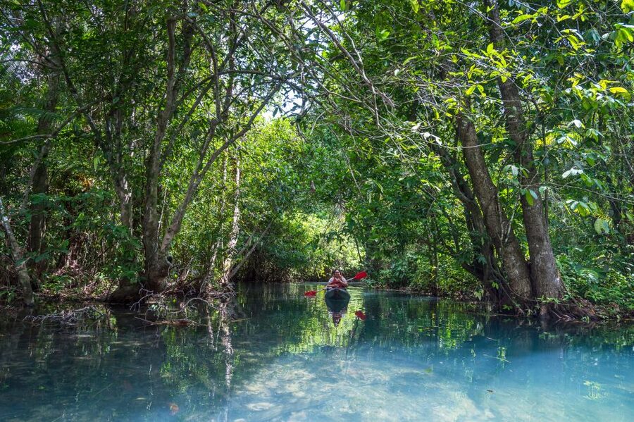 Krabi: Half-Day Blue Lagoon Kayaking at Klong Srakaew & ATV - Swimming, floating, and the local feel of the pool