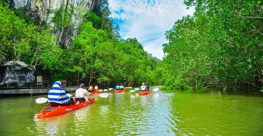 Krabi: Half-Day Bor Thor Mangrove Kayaking Tour - Who should book this Bor Thor outing?