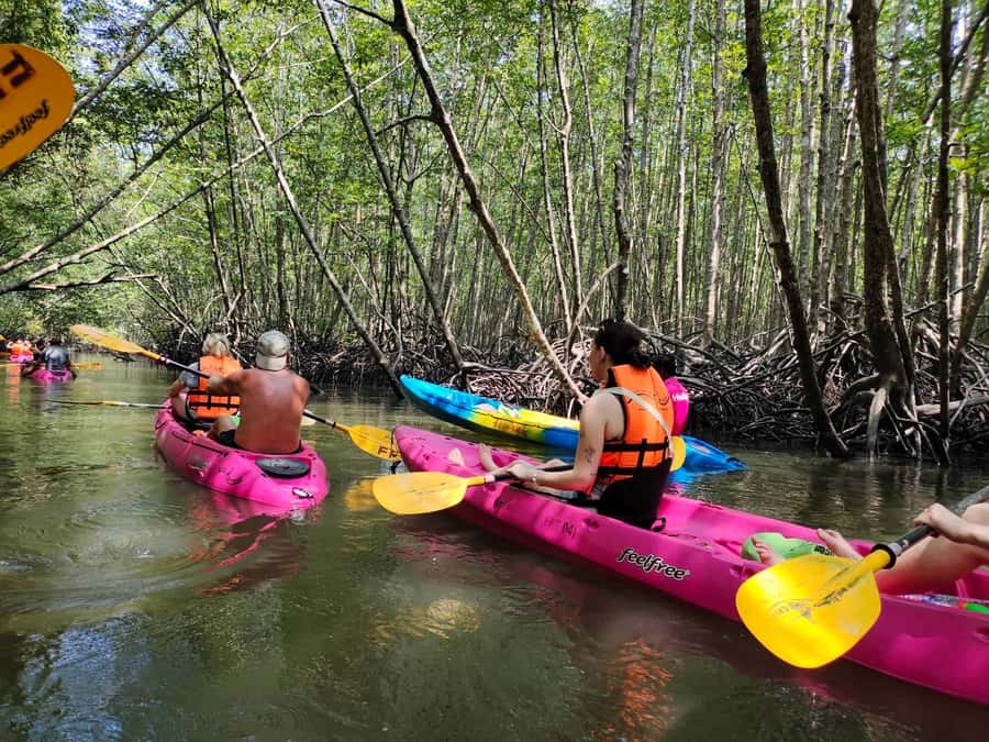 Krabi: Half-Day Kayak Adventure at Ao Thalane - Why Ao Thalane is worth your morning