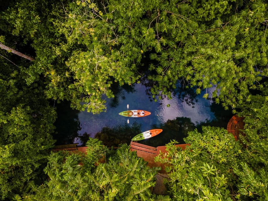 Krabi: Kayak Adventure through Ao Thalane Mangrove Forest - Crocodile Cave and the wildlife watch