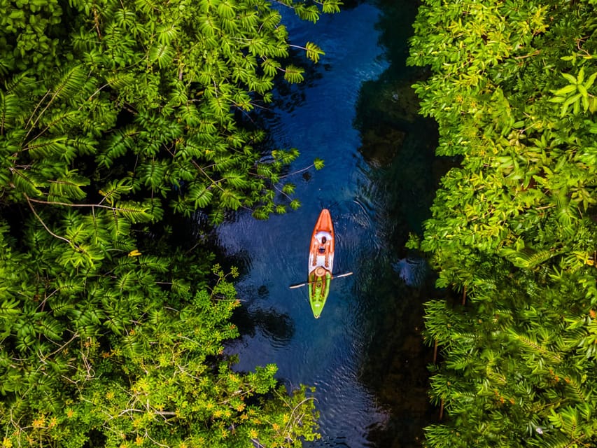 Krabi: Kayak Adventure through Ao Thalane Mangrove Forest - Tides can change the best part of the route