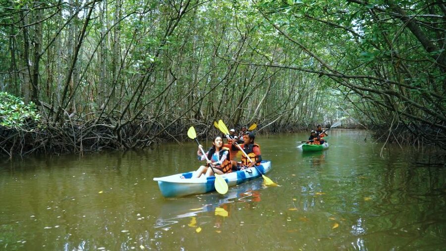 Krabi: Kayak in Mangrove Forest with Meal Aonang - A quiet side of Krabi at Ao Nam Mao