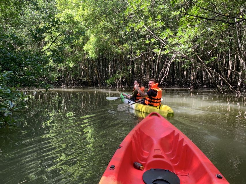 Krabi: Kayak in Mangrove Forest with Meal Aonang - What the mangrove paddle feels like