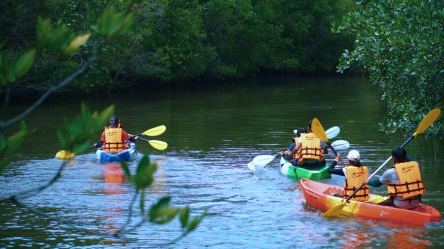 Krabi: Kayak in Mangrove Forest with Meal Aonang - Limestone peaks and photo stops