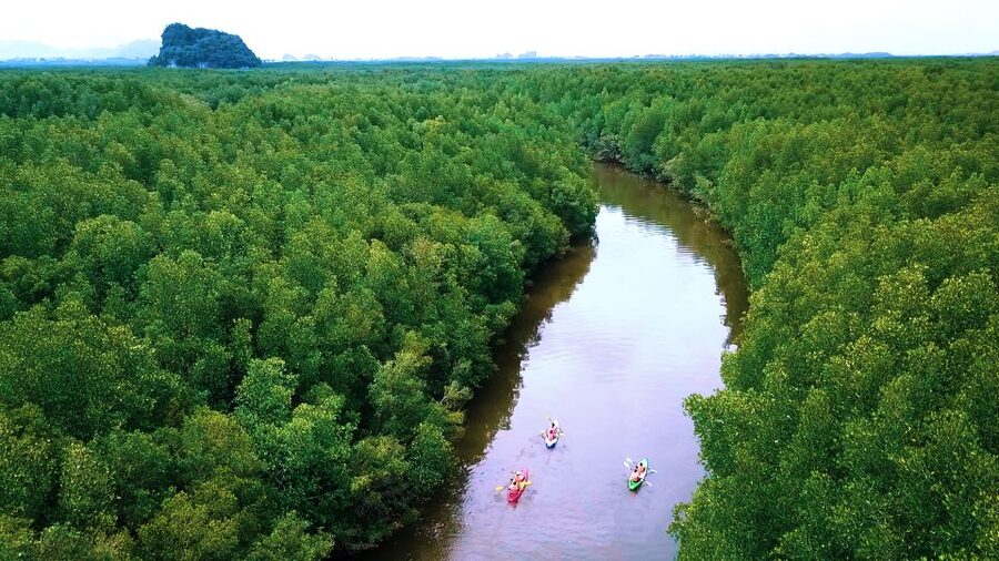 Krabi: Kayak in Mangrove Forest with Meal Aonang - Lunch beside the mangroves