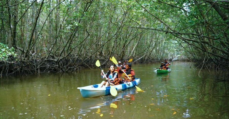 Krabi: Kayak in Mangrove Forest with Meal Aonang - Who gets the best value for $32