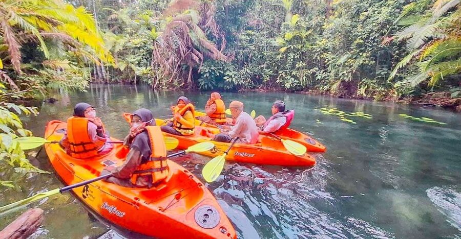 Krabi kayaking and swimming clongrood Tour - Key points to know before booking