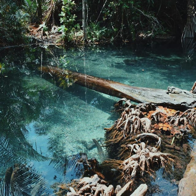 Krabi kayaking and swimming clongrood Tour - The cold freshwater swim stop