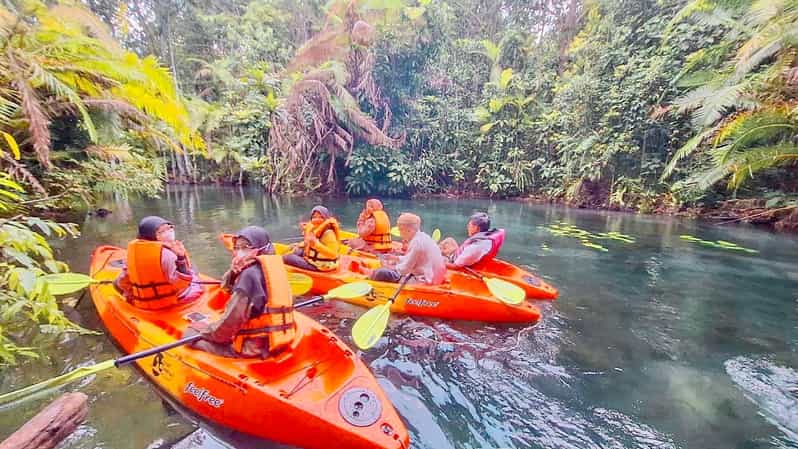 Krabi kayaking and swimming clongrood Tour - Guides, group pace, and first-time kayaking