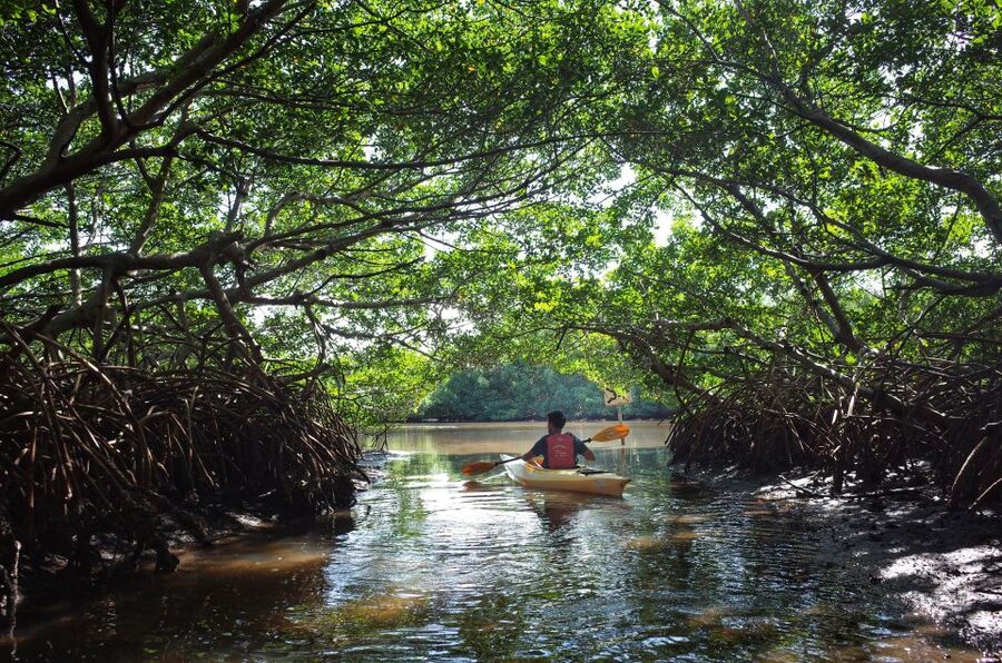 Krabi kayaking Ao thalane - The Safety Briefing Sets the Pace