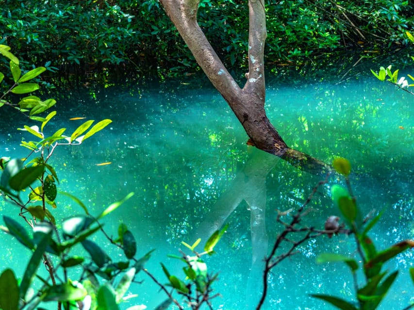 Krabi: Kayaking, Crystal Lagoon, and Fish Spa in Klong Root - Sunset on the final departure