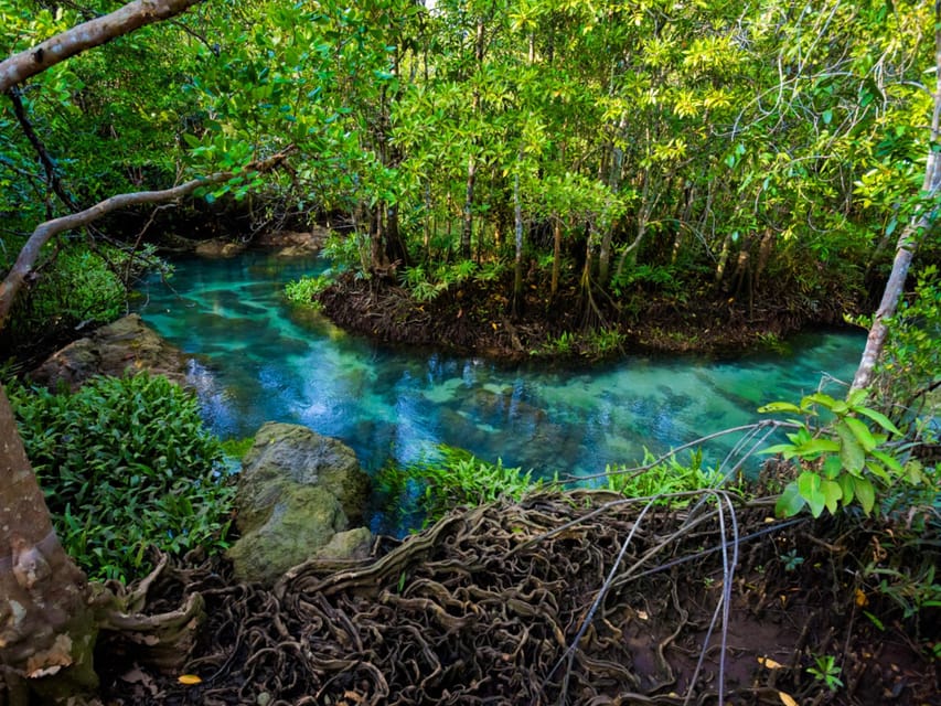 Krabi: Kayaking, Crystal Lagoon, and Fish Spa in Klong Root - What the $38 price includes