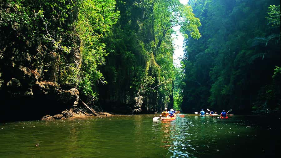 Krabi: Kayaking in Ao Thalane Bay Beautiful Mangrove Forest - Key points to know before you book