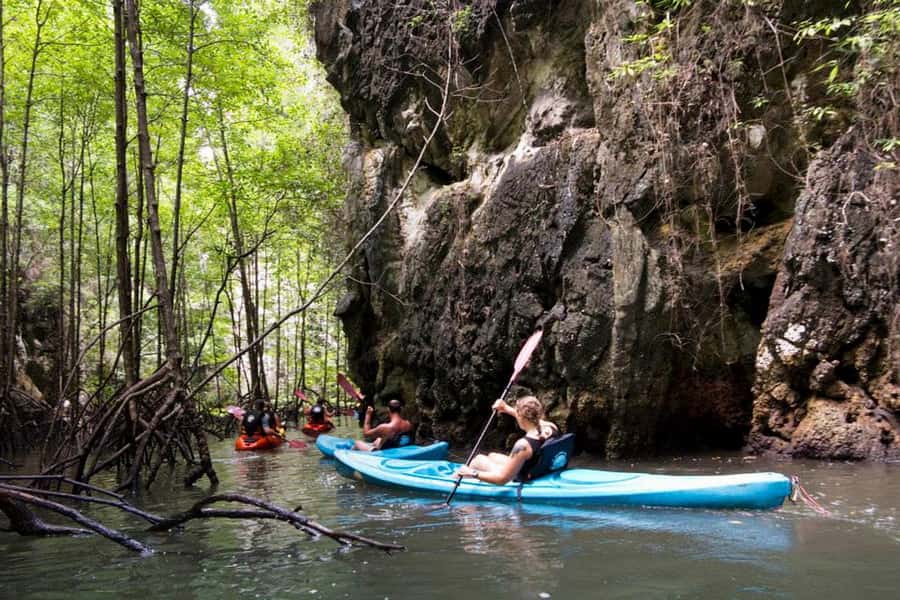Krabi: Kayaking in Ao Thalane Bay Beautiful Mangrove Forest - Wildlife watching rewards a quiet pace