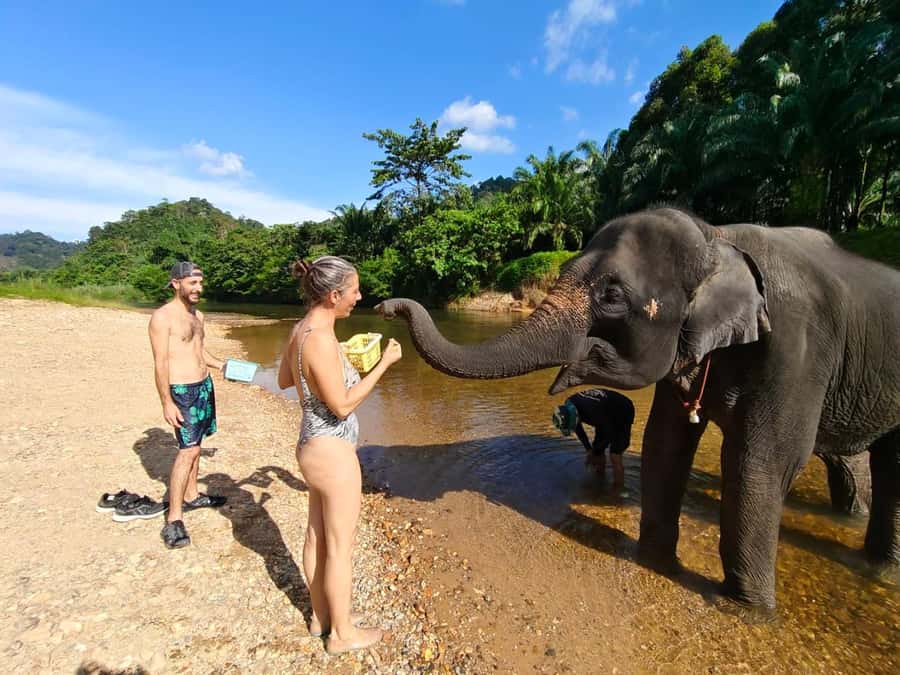 Krabi: Khao Sok Elephant Rescue Center & Bamboo Raft Paddle - Cooking papaya salad and eating southern Thai food