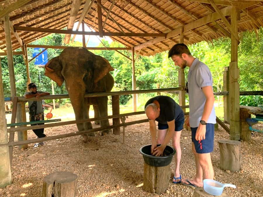 Krabi: Khao Sok Elephant Rescue Center & Bamboo Raft Paddle - Bamboo rafting on the Sok River