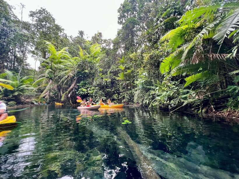 Krabi: Klong Root (Crystal lake) Kayaking tour - Klong Root at a glance