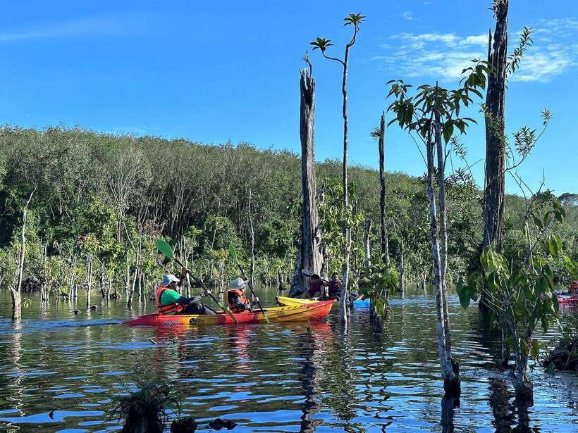 Krabi: Klong Root (Crystal lake) Kayaking tour - Paddling through the clear canal