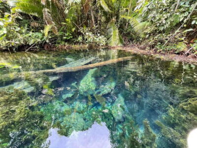 Klong Root (Crystal lake) Kayaking tour