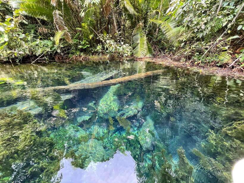 Krabi: Klong Root (Crystal lake) Kayaking tour - Getting into the kayaks