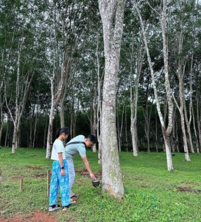 Klong Root Kayaking Viewpoint,Fish Feeding and more