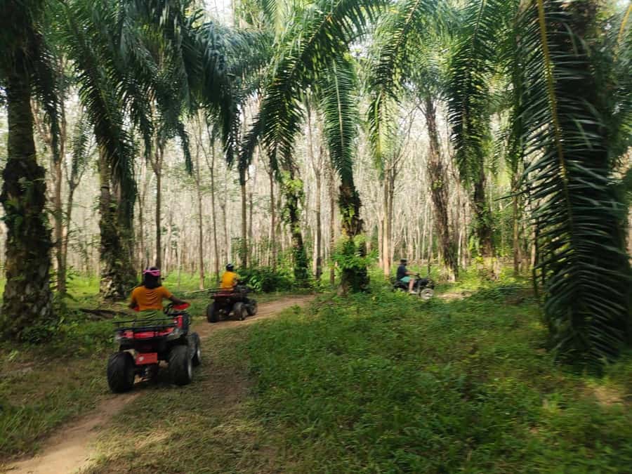 Krabi : Krabi kayak & ATV Jungle adventure (group of 10 max) - Seasonal Fruit and the Midday Transfer