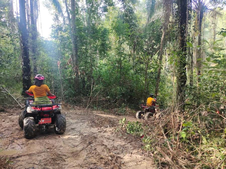 Krabi : Krabi kayak & ATV Jungle adventure (group of 10 max) - ATV Riding Through Jungle and Palm Plantations