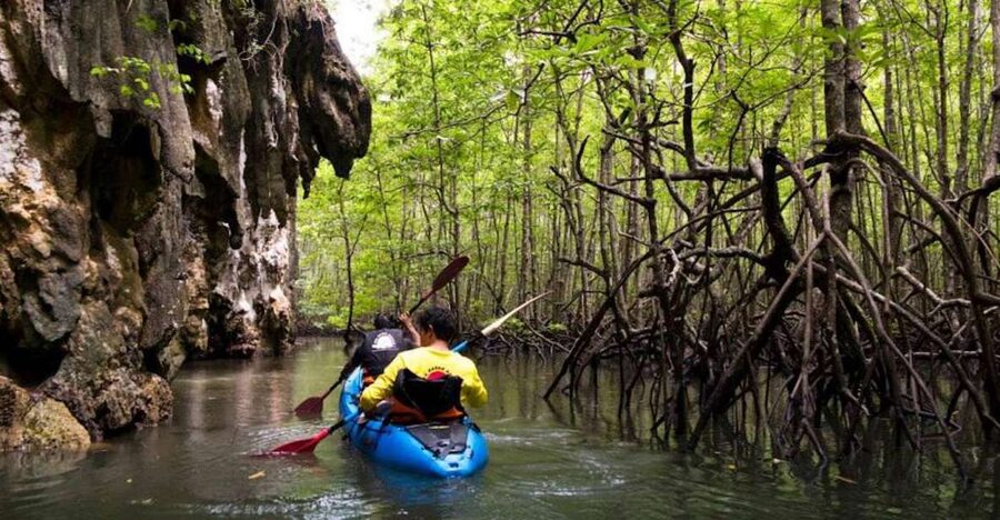 Krabi: Private Sea Kayaking in Ao Thalane and Hong Island - Key points to know before you book