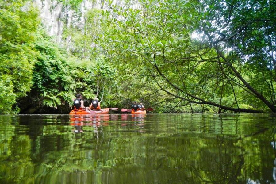 Krabi: Private Sea Kayaking in Ao Thalane and Hong Island - Why Ao Thalane is worth your time
