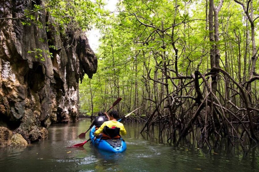 Krabi: Private Sea Kayaking in Ao Thalane and Hong Island - Paddling through the mangrove channels