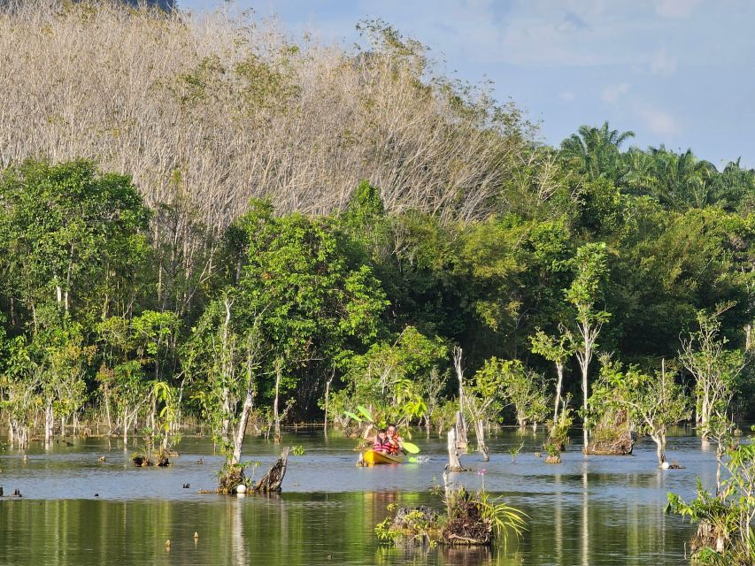 Krabi: South Kayak Klong Root Kayaking Tour - Booking tips for a smoother outing