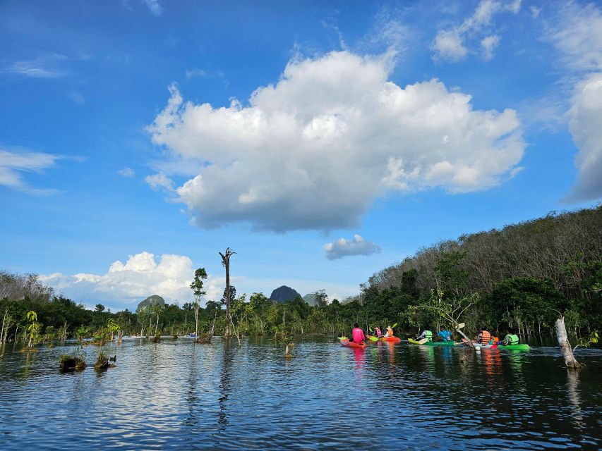 Krabi: South Kayak Klong Root Kayaking Tour - Transfers from Ao Nang are a real part of the value