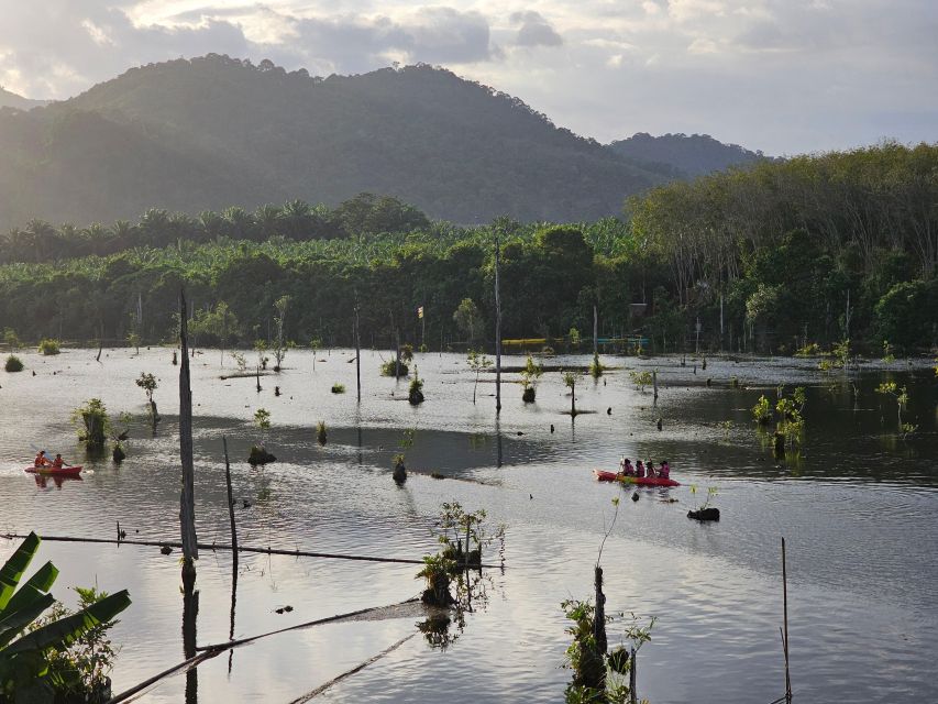 Krabi: South Kayak Klong Root Kayaking Tour - Pairing Klong Root with an elephant bath or ATV