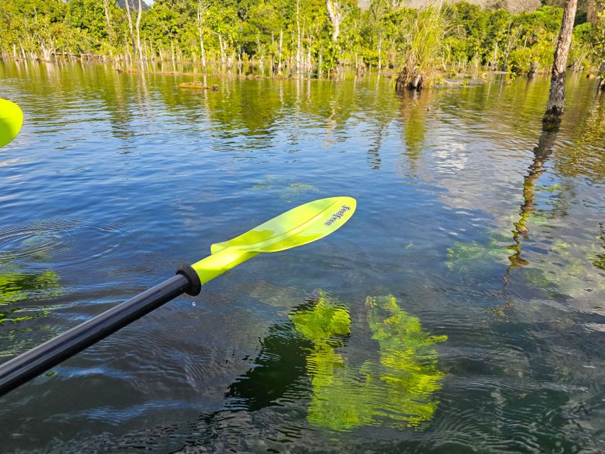 Krabi: South Kayak Klong Root Kayaking Tour - Who should book this experience