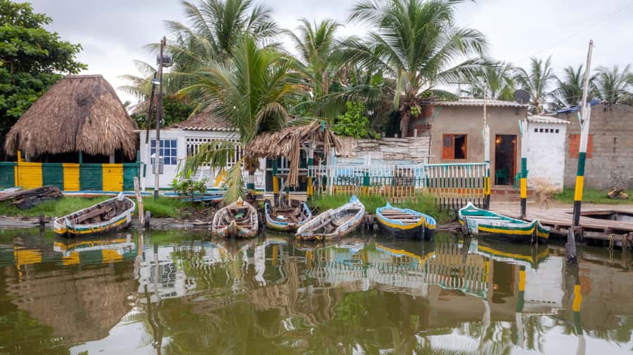La Boquilla: 3-Hour Canoe Tour through the Mangroves - Key points to know before you book