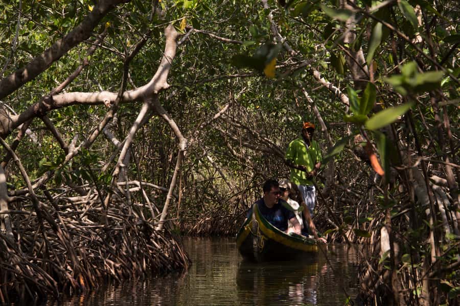 La Boquilla: 3-Hour Canoe Tour through the Mangroves - Why La Boquilla feels far from Cartagena