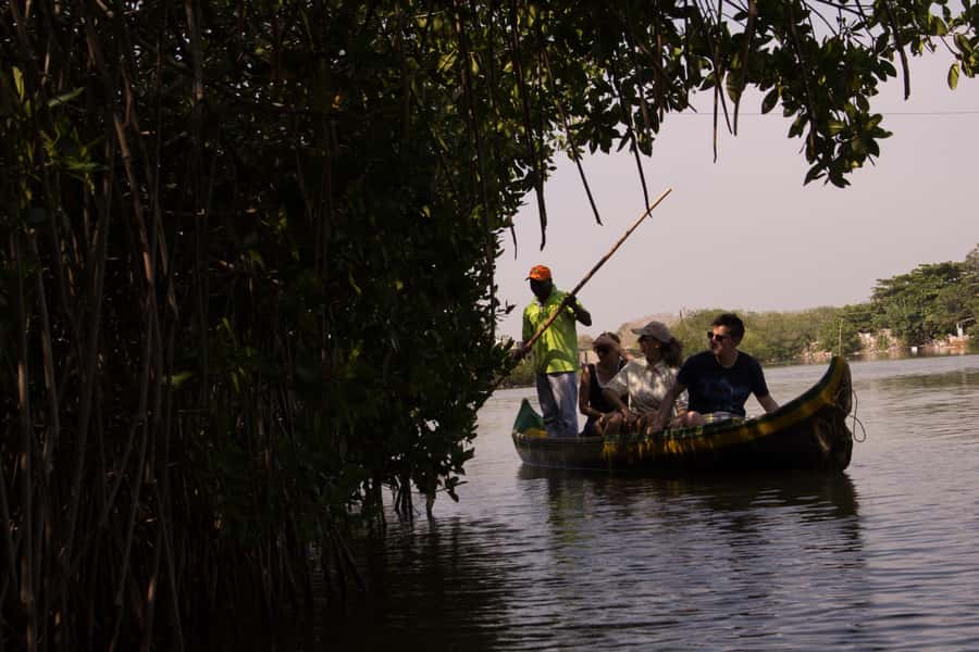 La Boquilla: 3-Hour Canoe Tour through the Mangroves - Entering the mangrove tunnels by canoe