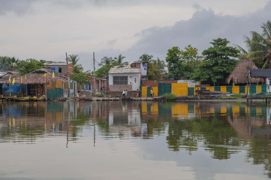 La Boquilla: 3-Hour Canoe Tour through the Mangroves - The conservation story behind the roots