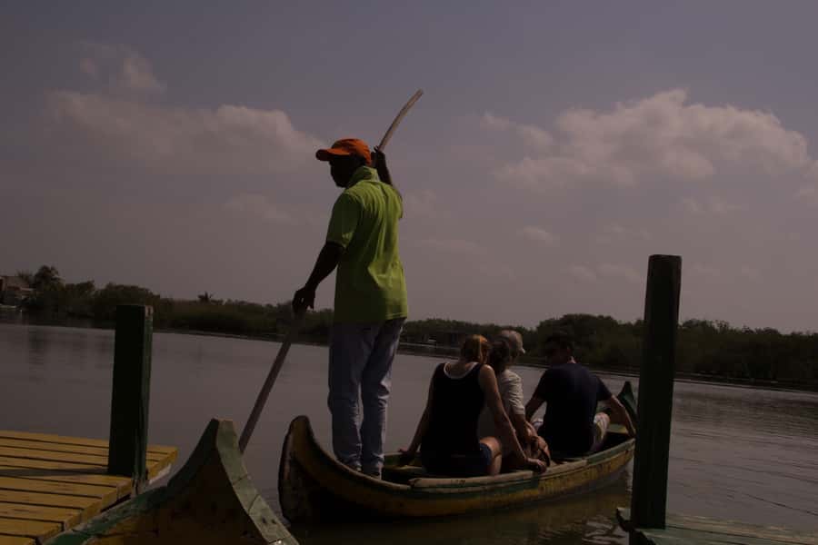 La Boquilla: 3-Hour Canoe Tour through the Mangroves - Who should book this canoe tour?