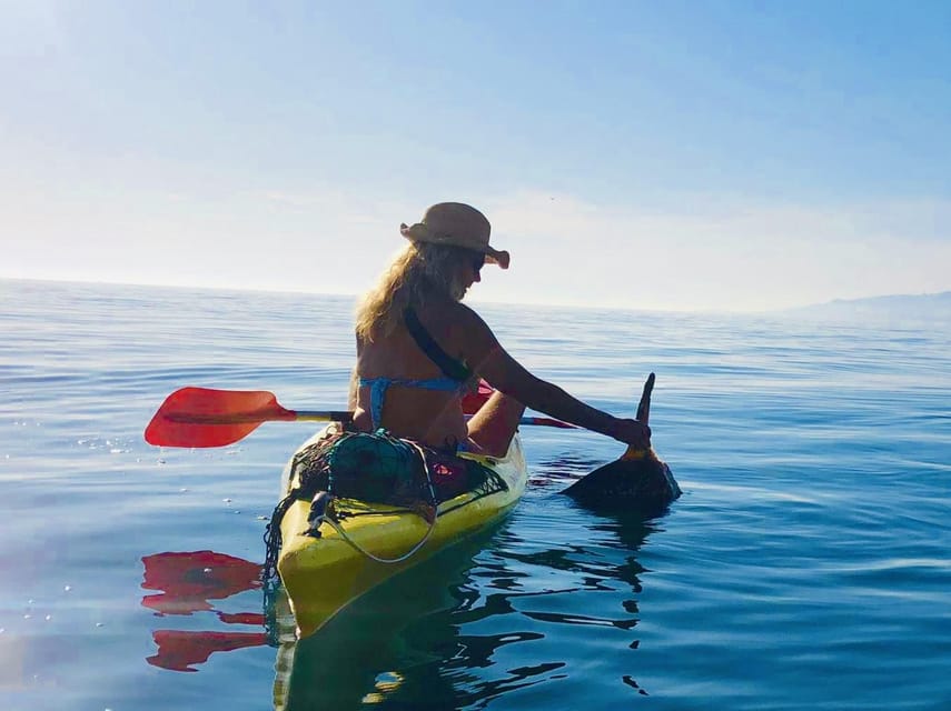 La Herradura: Kayak Tour in Cerro Gordo Natural Park - Key Points Before You Paddle