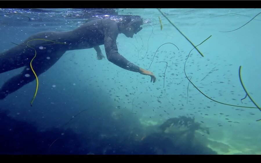 La Jolla: 2.5-Hour Kayak and Snorkel Tour - How much value do you get for $129?