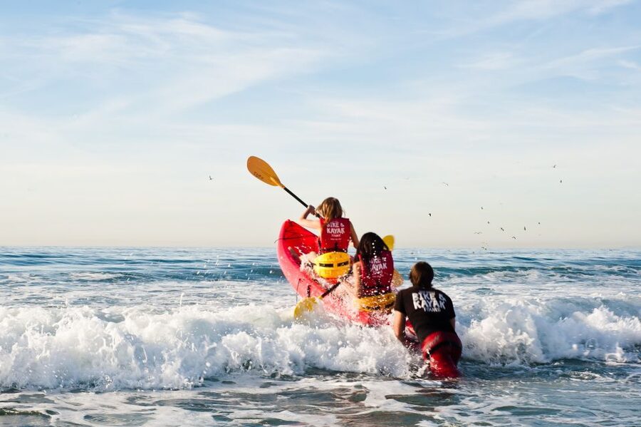 La Jolla: 2-Hour Kayak Tour of the 7 Caves - Three habitats, one compact stretch of coast