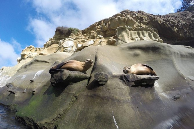 La Jolla Sea Caves Kayak Tour For Two (Tandem Kayak) - What the La Jolla route is really like